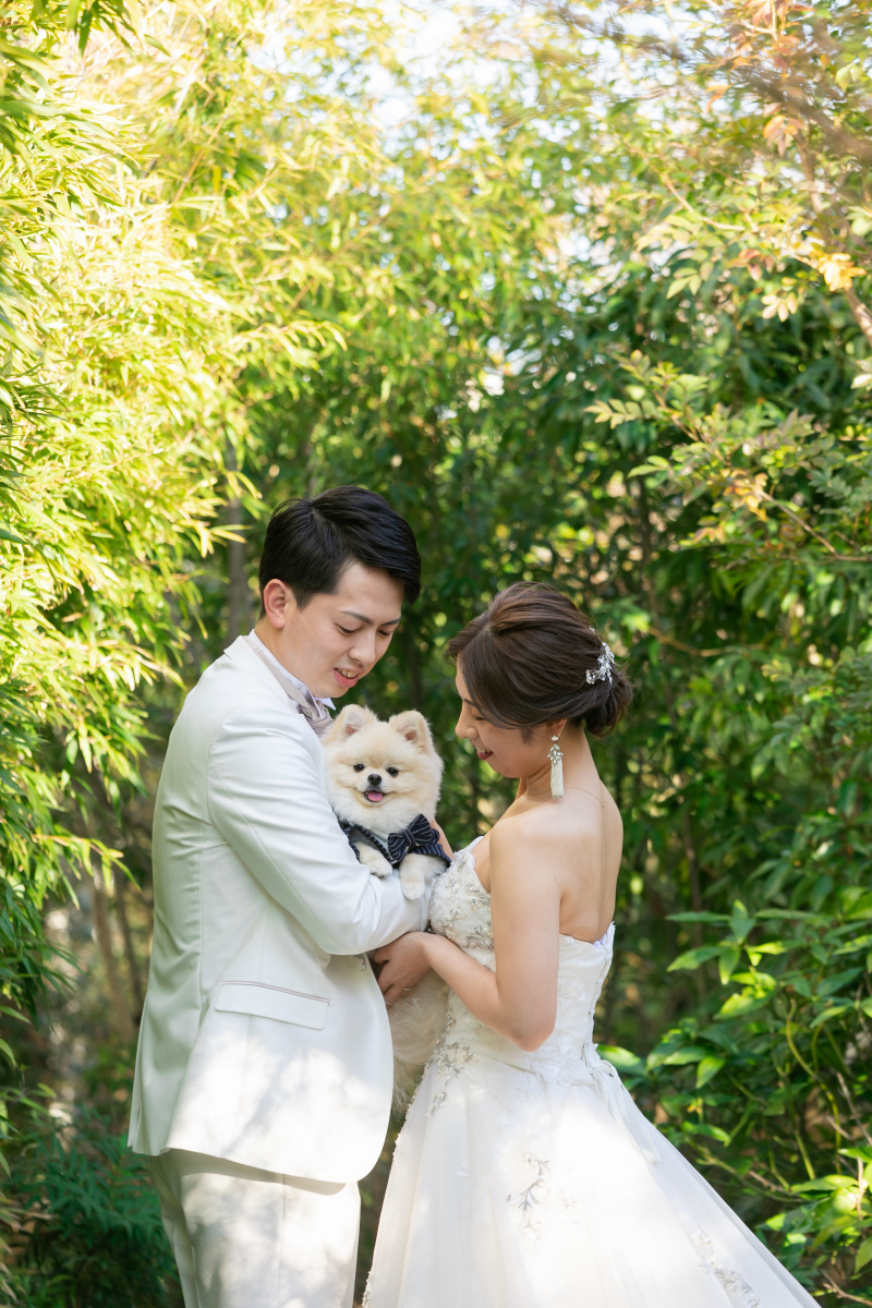 わんちゃんと寄り添って