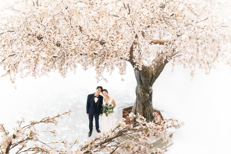 コンフェッティ人気No.1！満開の桜の木の下で♪