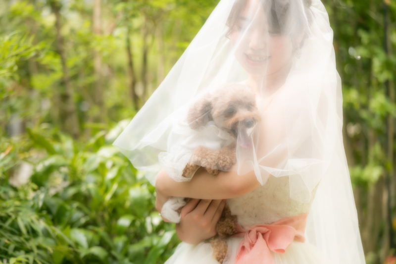 スタジオコンフェッティ_ペットと一緒に撮影できる