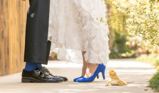 スタジオコンフェッティ