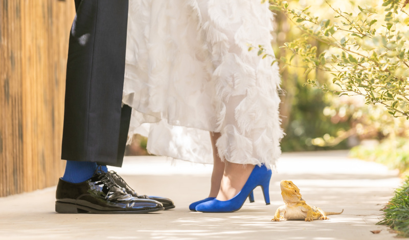 スタジオコンフェッティ_ペットと一緒に撮影できる