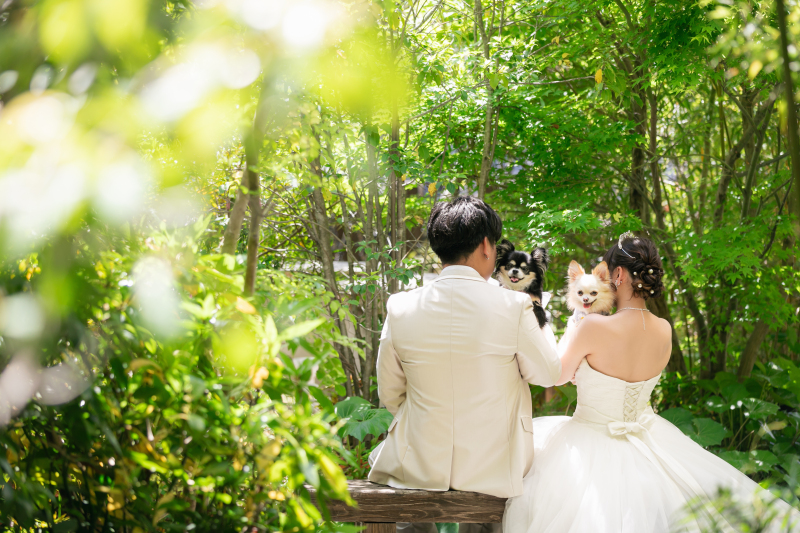 Point1 多彩な撮影シーン