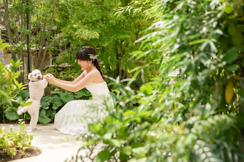 スタジオコンフェッティ_ペットと一緒に撮影できる