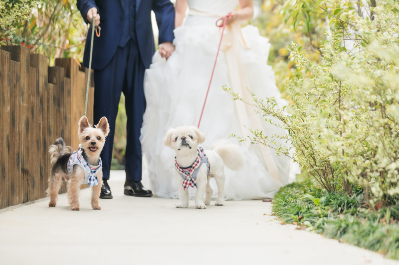 みんなでカメラ目線も♪