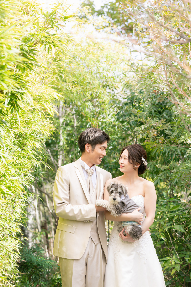 わんちゃんのカメラ目線もお任せください！