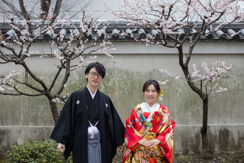 日本庭園の桜と