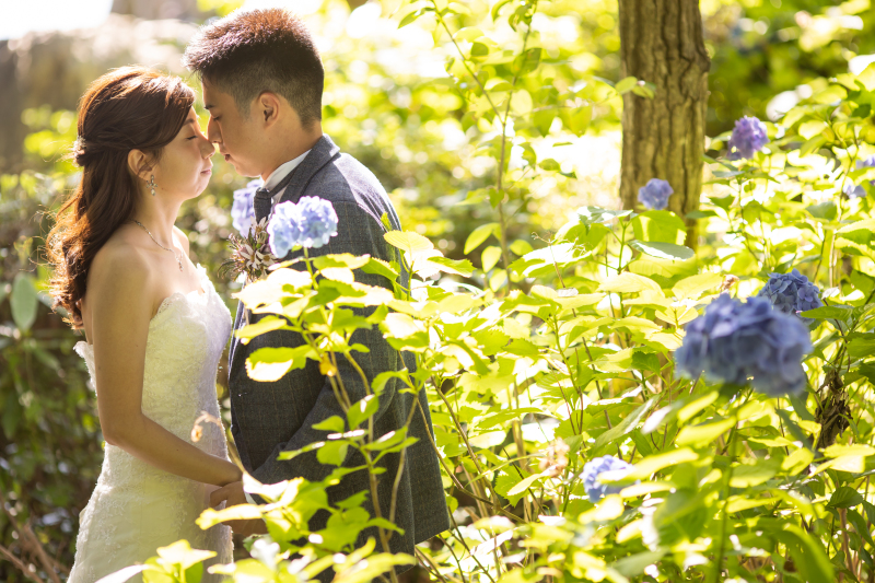 6月のアジサイと共に