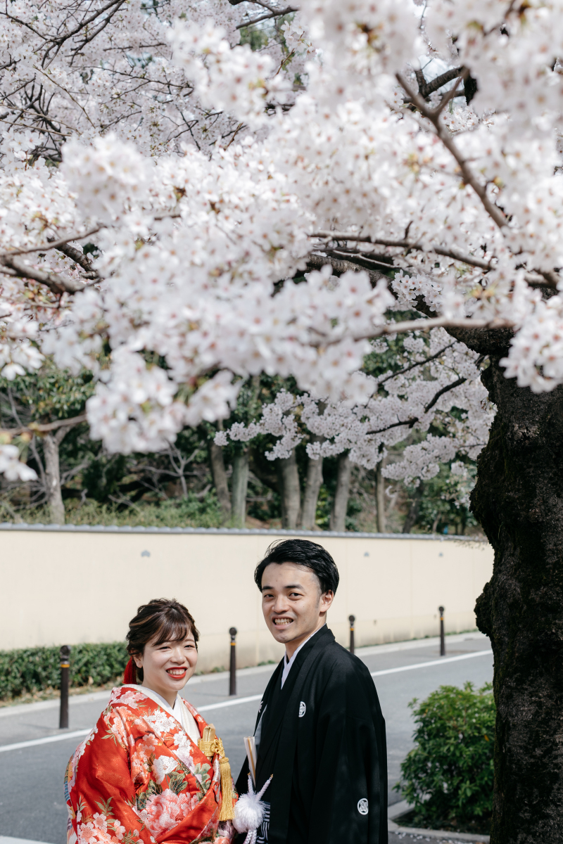 庭園前の満開の桜♪