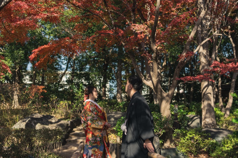 鮮やかな庭園と影のショット