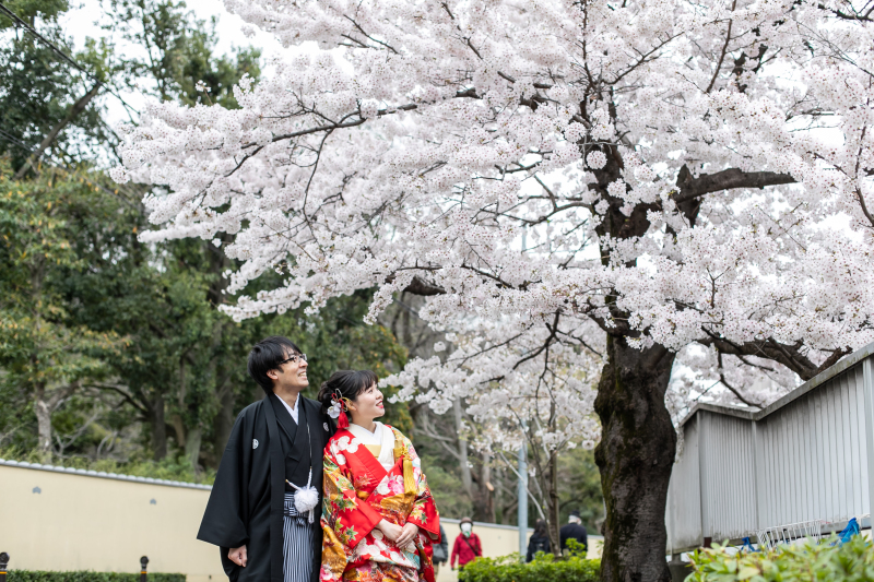 【去年の桜撮影】肥後細川庭園から東京駅
