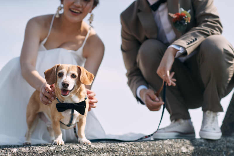 大好きなワンちゃんと