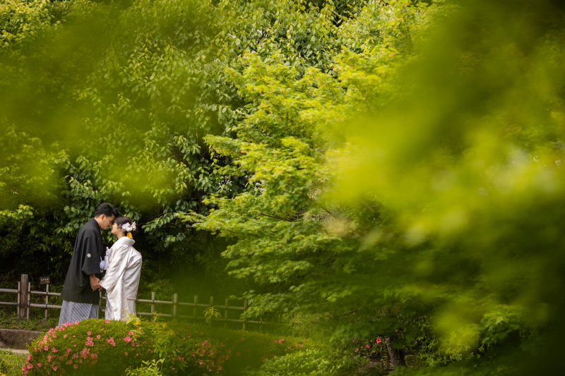 深い緑の遠近感