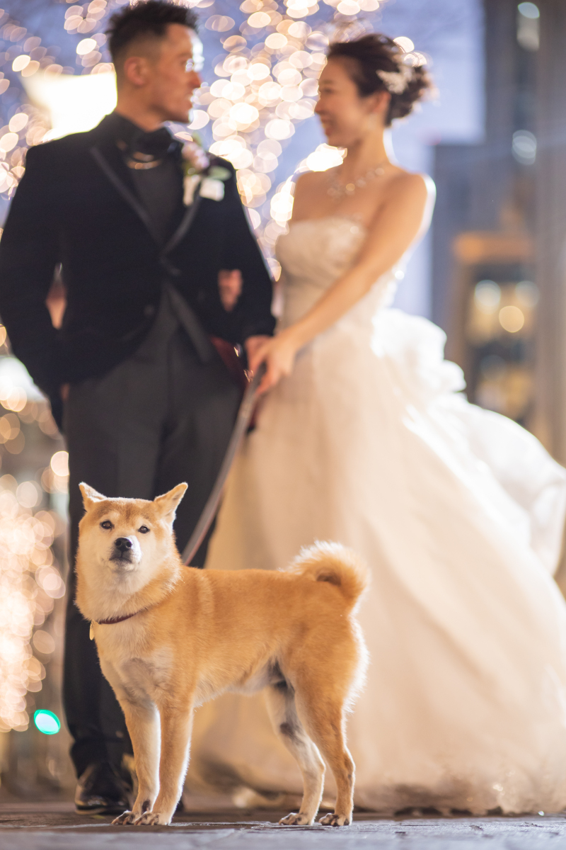 わんちゃんも一緒に。主役はどっち？