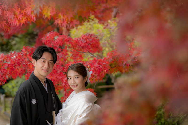 庭園は紅葉真っ盛り!