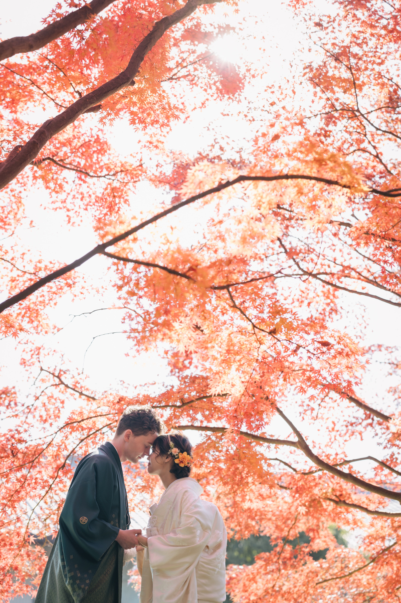 空に映えるもみじの色