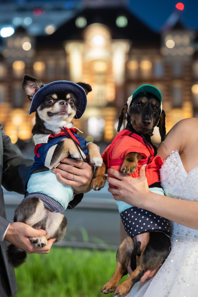 ワンちゃんたちのアップ♡