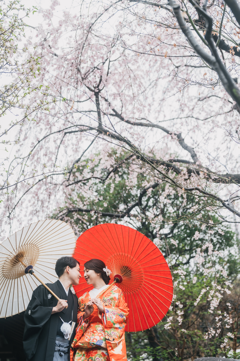 満開の枝垂れ桜の下で