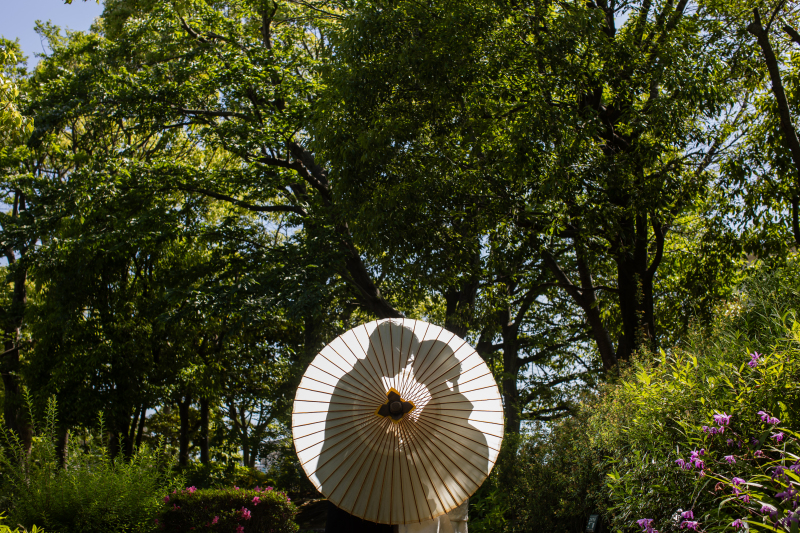 美しいシルエットショット♡