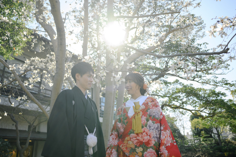 逆光を活かして