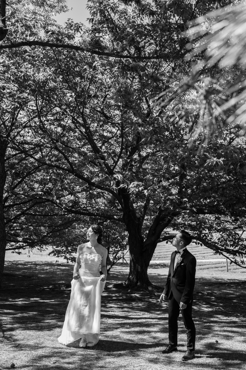 モノクロ加工も織り交ぜて