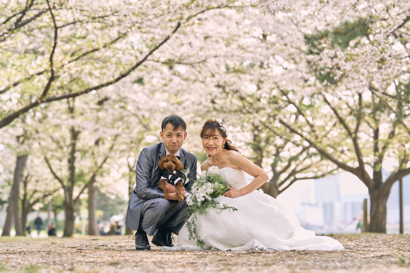 桜の花びらの絨毯で撮影♡
