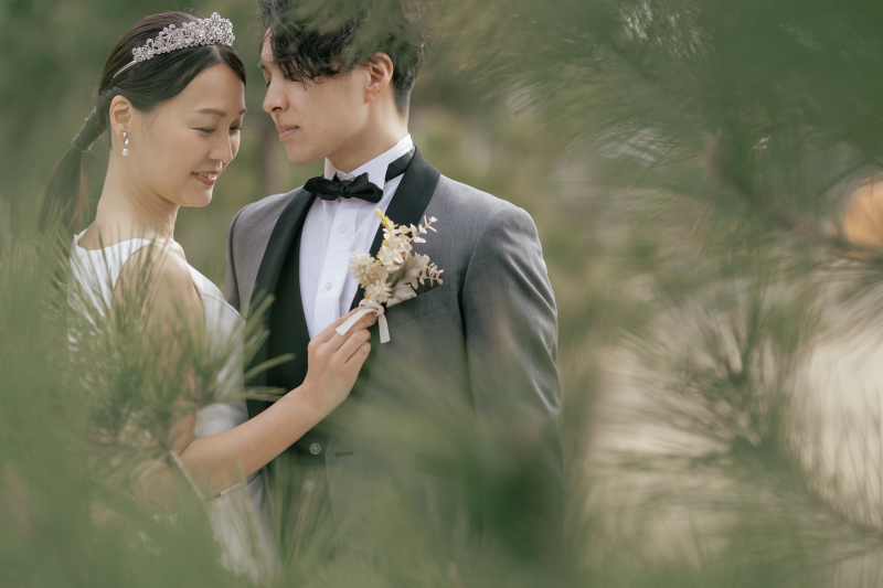 針葉樹をフレームのように