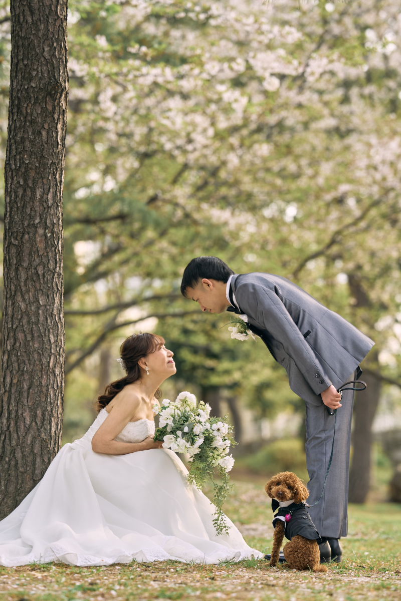 ワンちゃんがこちらを向いているショット