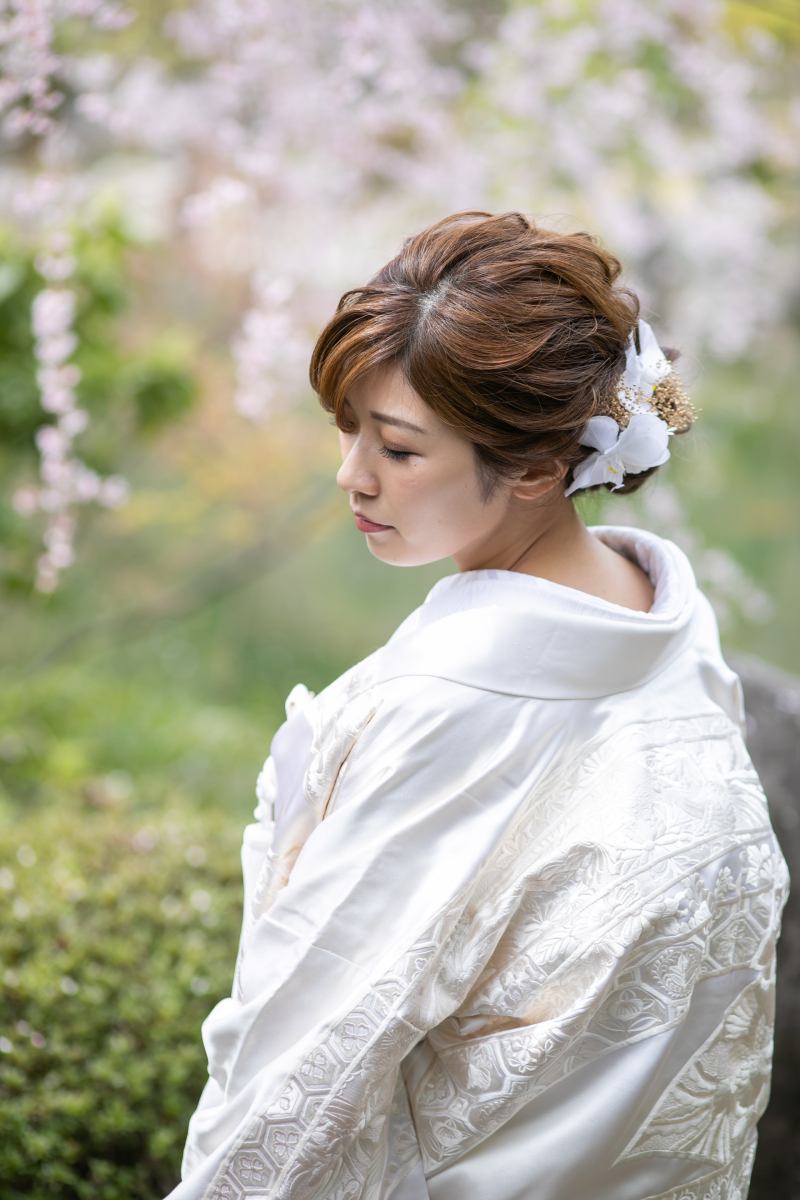 美しい白無垢と桜のコントラスト