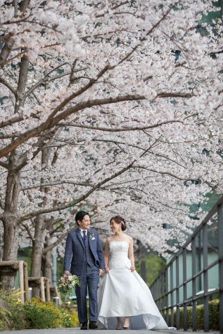 昨年の桜ロケーション撮影の様子！