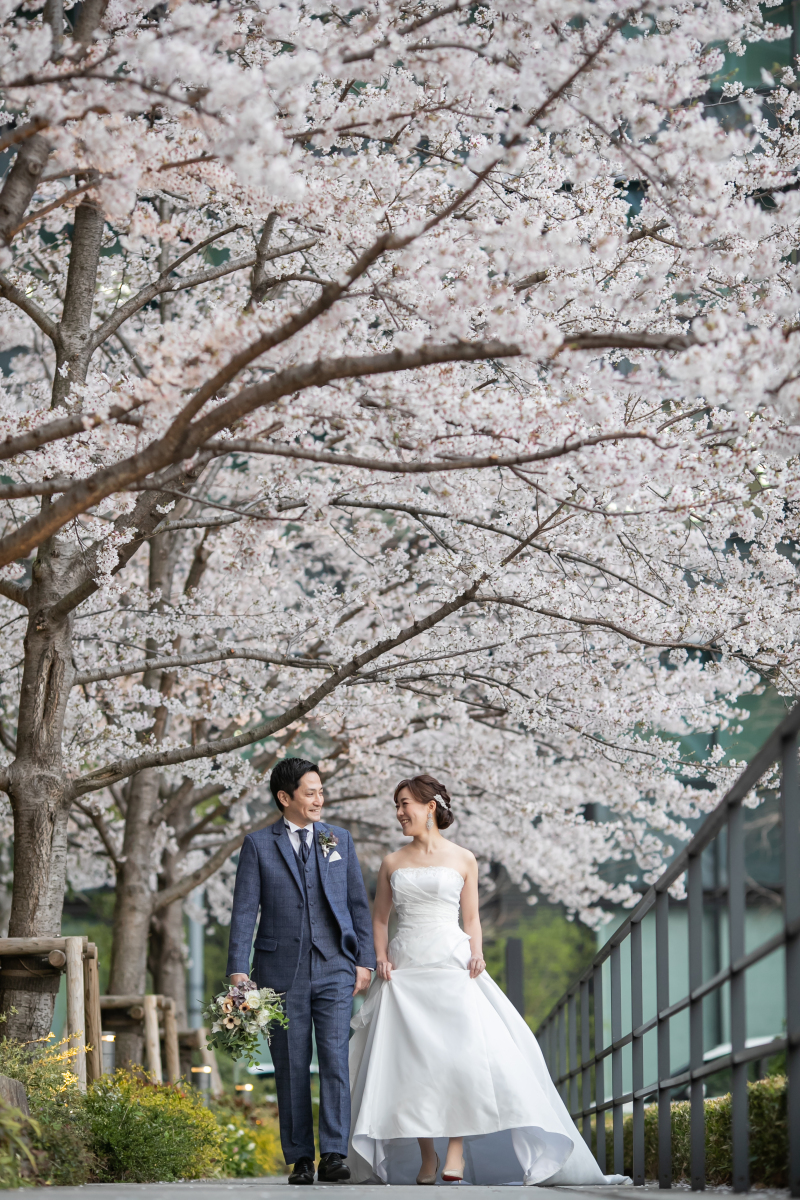 昨年の桜ロケーション撮影の様子！