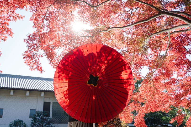 番傘のシルエットフォト