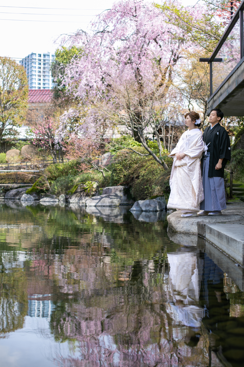 水面に反射する枝垂れ桜