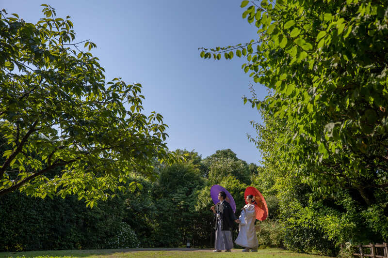 番傘を使ったショットも！