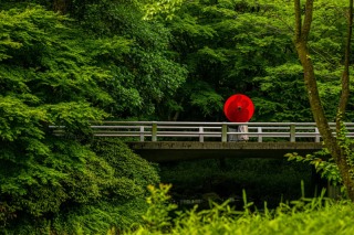 和装　ロケーション撮影