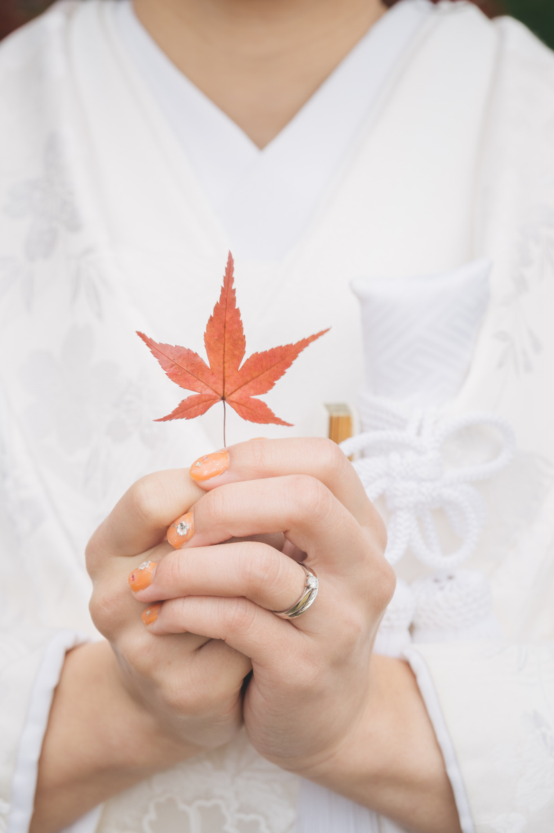 紅葉をギュッと！