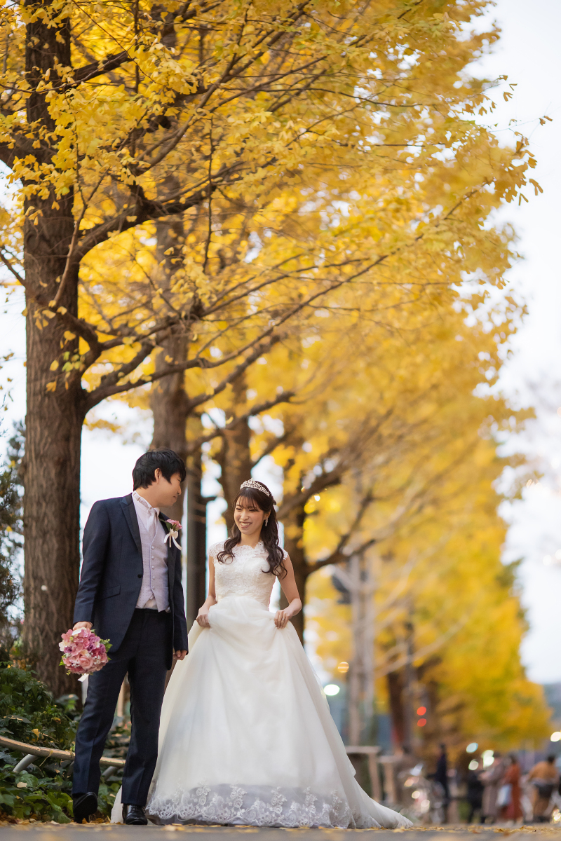 黄金色に輝くいちょう並木と