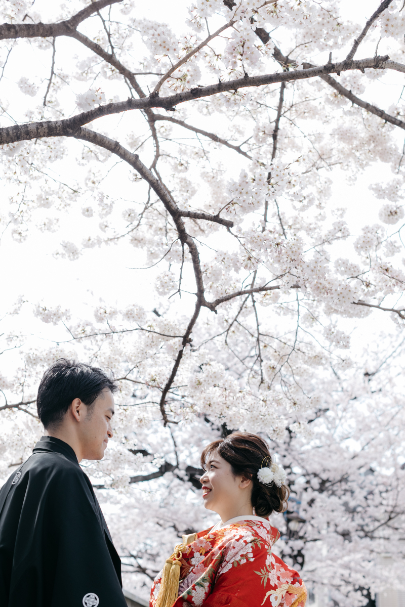 昨年の桜ロケーション撮影ご紹介③