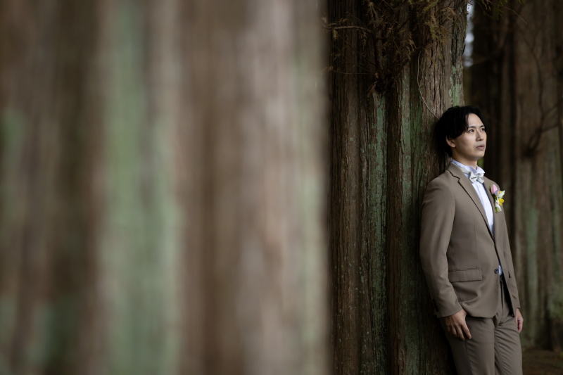 重厚感のある木の下で