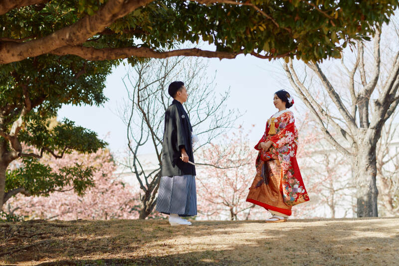 昨年の河津桜＆愛車オープンカー撮影