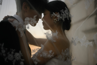 やわらかな光のデイタイム撮影