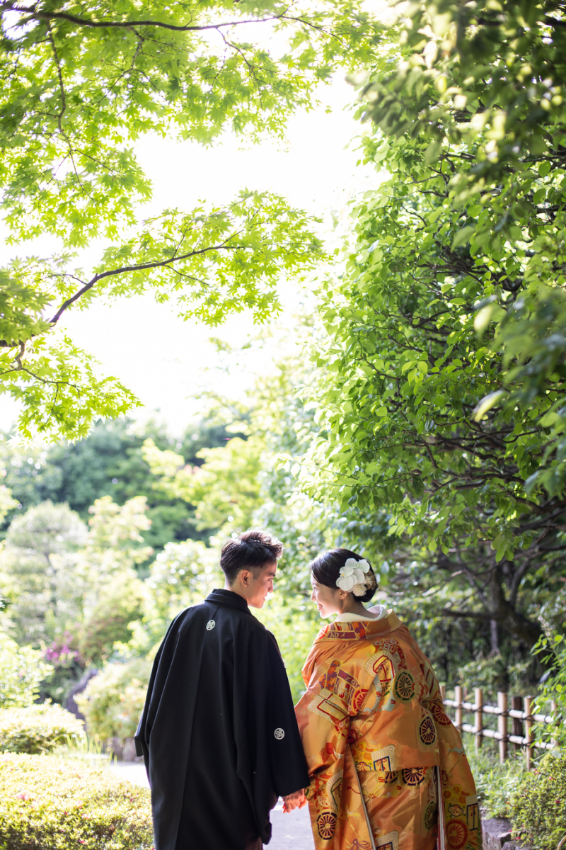 初夏の緑のグラデーション!