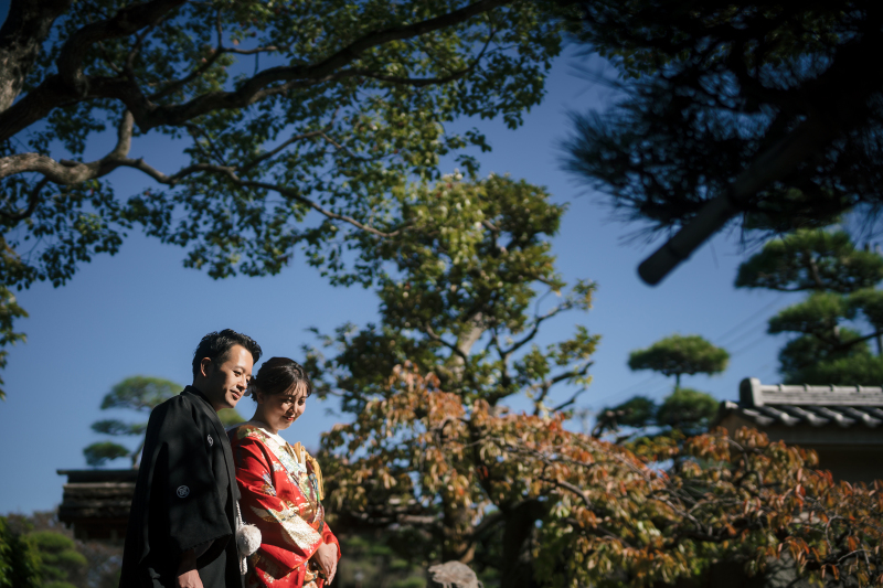 青空の広がる美しい庭園