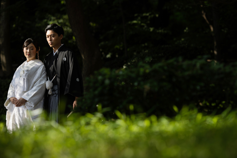 あえての暗めのお写真