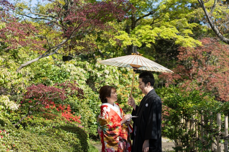 緑の美しい庭園