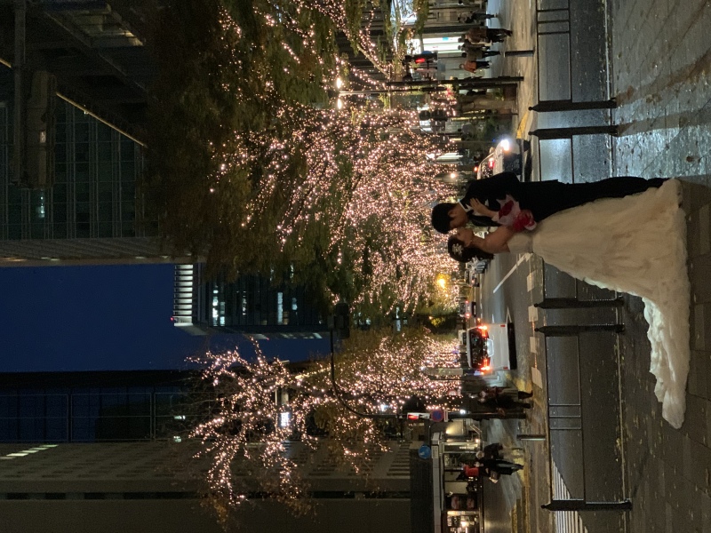 イルミネーション