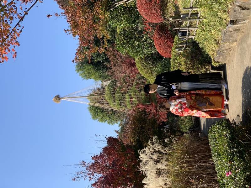 和装ラストカット