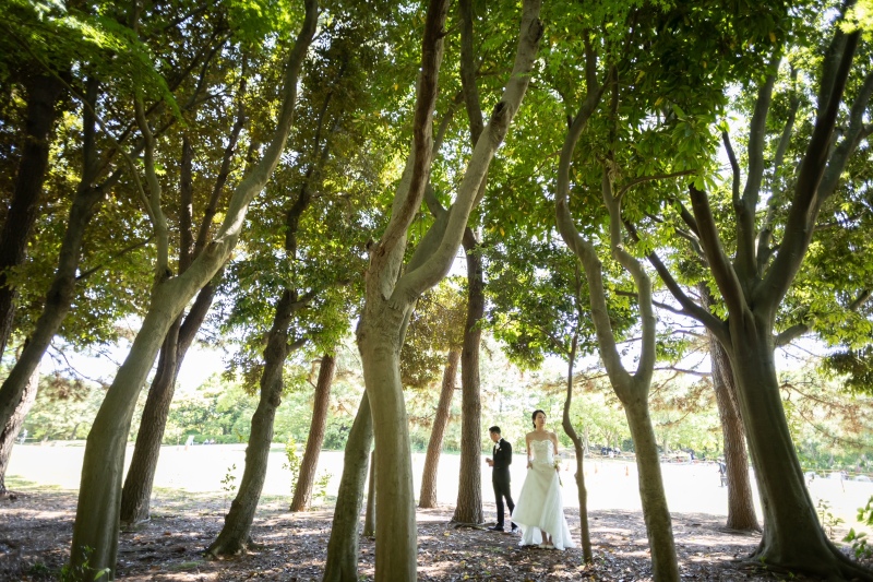 木々に囲まれて