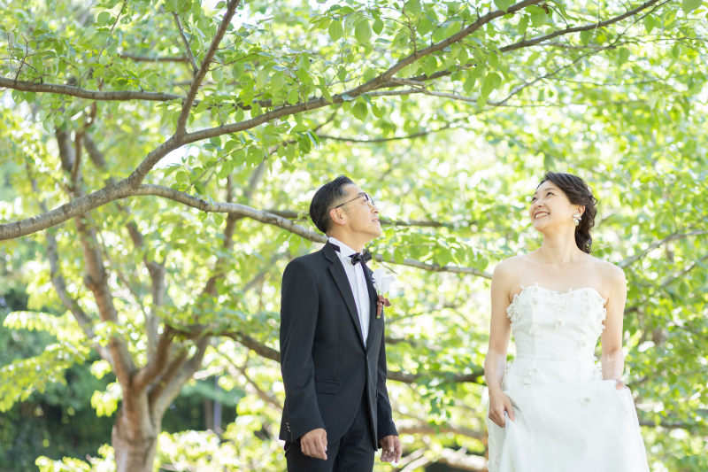 大きな木を見上げて