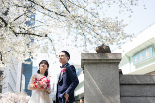 日本橋で叶う桜とのエレガントフォト