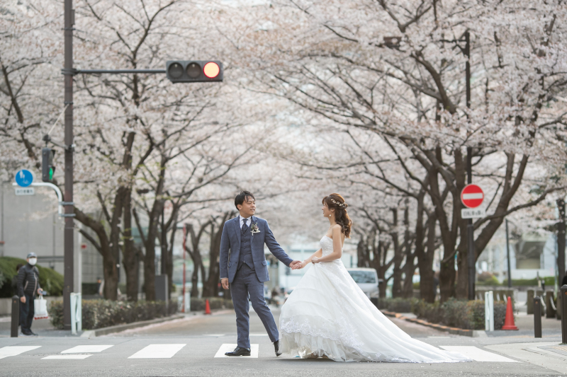 ソメイヨシノと横断歩道、ドラマチックなシーン!